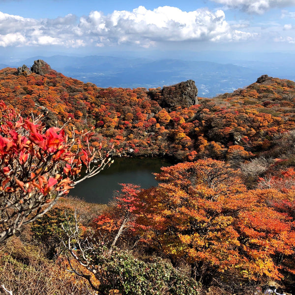 No.87_山登り