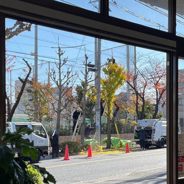 No.93_焙煎の大敵、焦げ感．．．