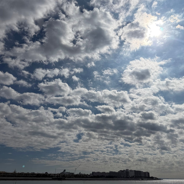 No.248_コーヒーは、難しくないですよ(^^)/（お好み選び編）