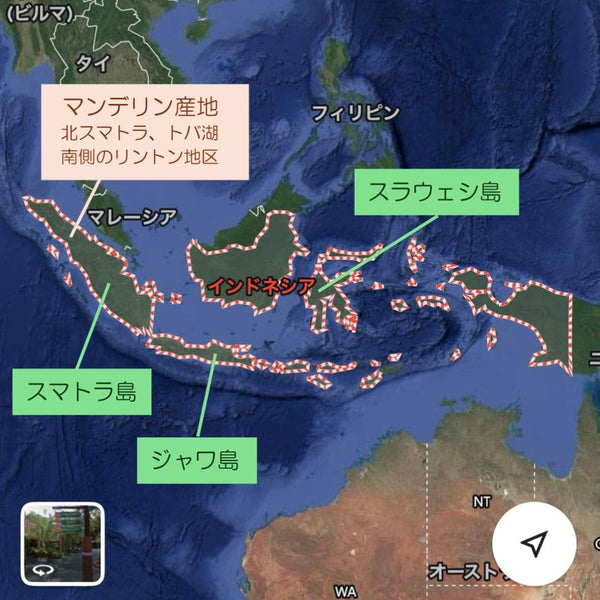 No.246_コーヒー産地インドネシア 🇮🇩