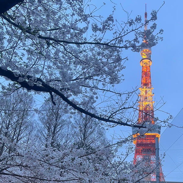 No.164_真に美味しいものの風味は繊細