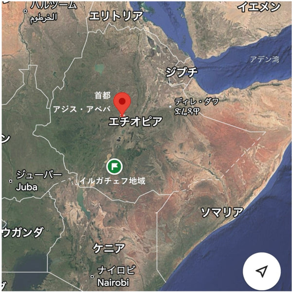 No.232_コーヒー産地エチオピア🇪🇹