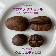 画像をギャラリービューアに読み込む, パカマラ ナチュラル500g（グァテマラ／エル・ミラドール農園）（初お目見え）
