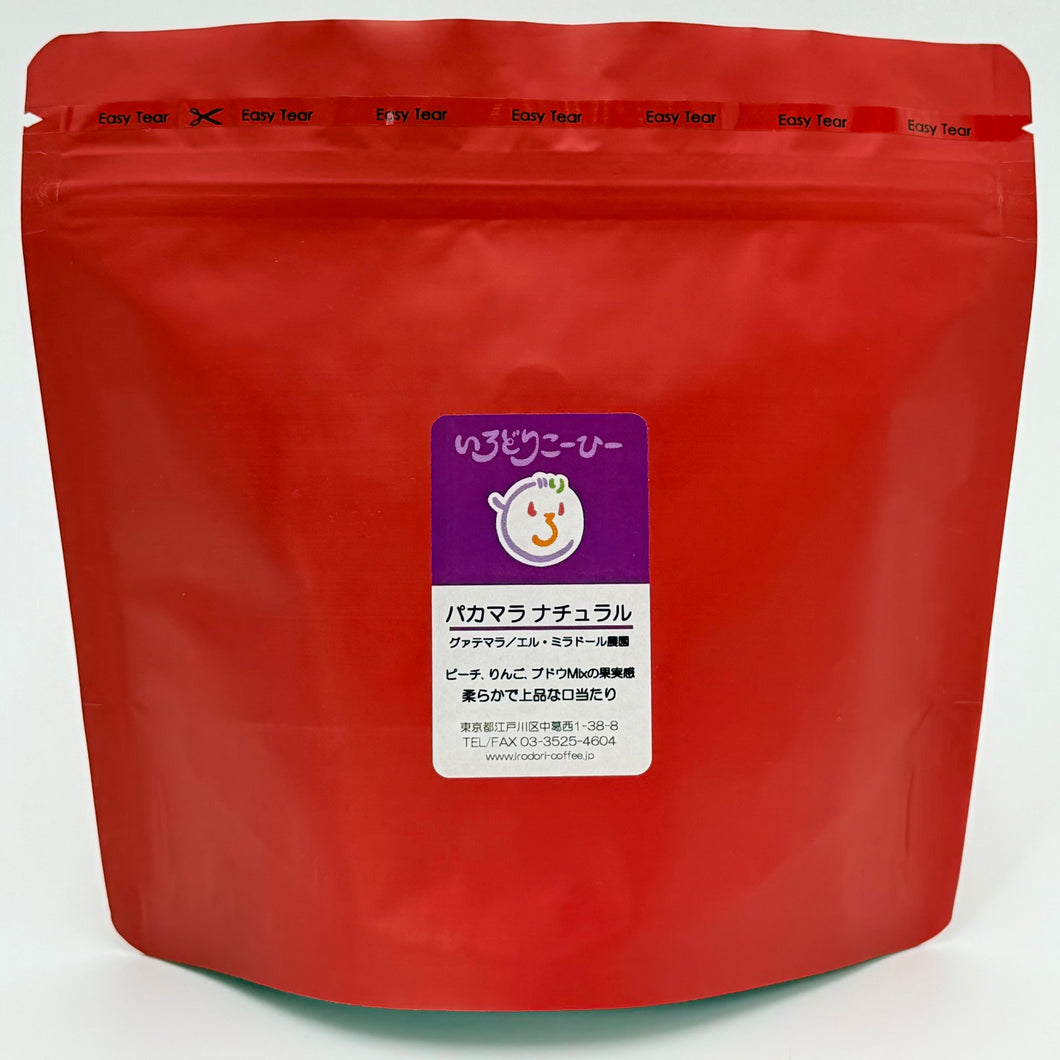 パカマラ ナチュラル（グァテマラ／エル・ミラドール農園）（初お目見え）