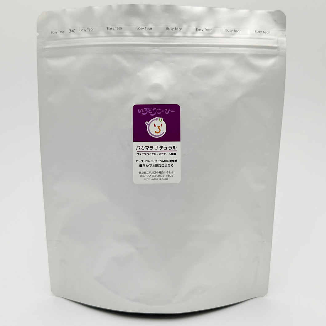パカマラ ナチュラル500g（グァテマラ／エル・ミラドール農園）（初お目見え）